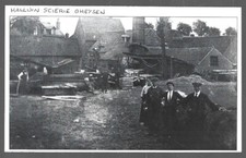 2005 halluin scawmill d'occasion  Expédié en Belgium