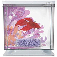 Marina betta kit usato  Roccagloriosa