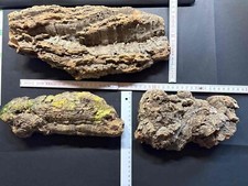 Spur kork korkrinde gebraucht kaufen  Fulda