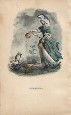 Stampa antica fiori usato  Lecco