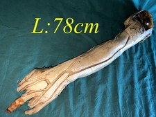 Lehrmodell injektionstechnik v gebraucht kaufen  Bad Neuenahr-Ahrweiler