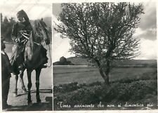 1956 tempio pausania usato  Cremona