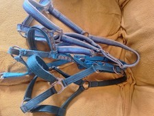 Pferde ponyhalfter gebraucht kaufen  Lustadt