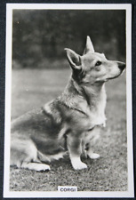 Cartão fotográfico galês Corgi vintage 1939 GE11MS comprar usado  Enviando para Brazil