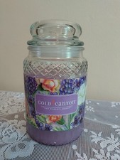 Rare 26oz large for sale  Wichita