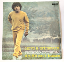 Disco giri riccardo usato  Santa Marinella