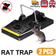 Large rat catching for sale  CANNOCK