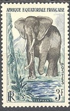 oray 240 d'occasion  Marsac-sur-l'Isle