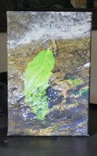 Neu wasser foto gebraucht kaufen  Mayen