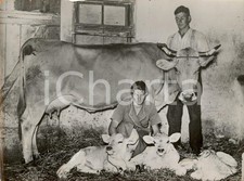 1938 germania propaganda usato  Milano