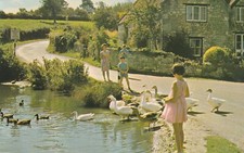 .355 isle wight for sale  RYDE