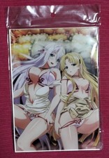 Placa de acrílico visual High School DxD HERO comprar usado Placa de acrílico visual High School DxD HERO comprar usado  Enviando para Brazil