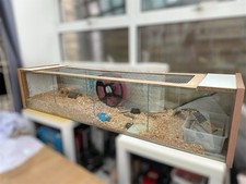 Extra large pet for sale  LONDON