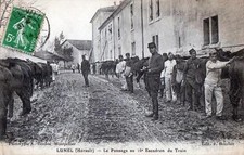 Cpa lunel pansage d'occasion  Claira