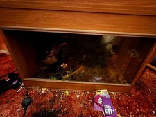 Reptile vivarium sliding for sale  ST. HELENS