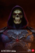 Masters the universe gebraucht kaufen  Augsburg