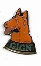 Pin gign chien d'occasion  Saint-Amand-Montrond