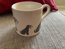 Sweet william schnauzer for sale  SHEFFIELD