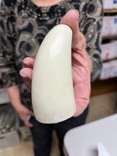 Blank sperm whale for sale  Rising Fawn