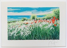 Franco azzinari serigrafia usato  Roma