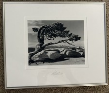 Ansel adams yosemite for sale  Littleton