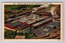 Kingsport tennessee birds for sale  USA