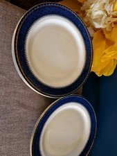 Beautiful blue white for sale  NEWPORT