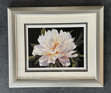 Ann salisbury signed for sale  Lockhart