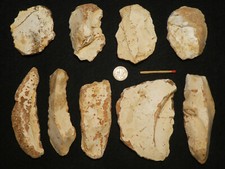 Grosse neandertaler mann gebraucht kaufen  Heidelberg