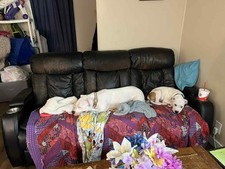 Couch chair recliner for sale  Elwood