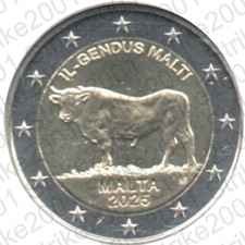 New euro commemorativo usato  Biella