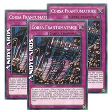 Corsa frantumatrice comune usato  Ravenna