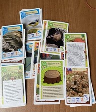 Carta avventure nella usato  Spilimbergo
