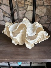 clam shell for sale clam shell for sale MANCHESTER