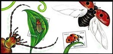 insectes d'occasion insectes d'occasion Liège