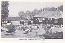Eqh vintage postcard for sale  BEMBRIDGE