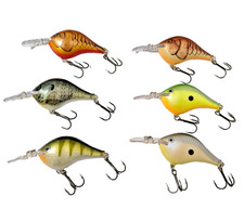 Lot rapala crankbaits for sale  Sun Prairie