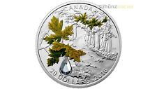 Dollar bigleaf maple gebraucht kaufen  Deutschland
