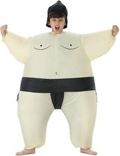 Toloco inflatable costume for sale  Craigsville