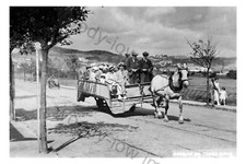 Pt2014 horse tram for sale  EAST COWES