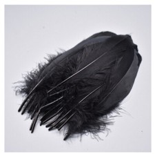 Stück deko federn gebraucht kaufen Stück deko federn gebraucht kaufen  Gersthofen