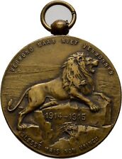 Medaille 1915 2 gebraucht kaufen  München