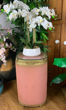 Vintage kraft blush for sale  STOKE-ON-TRENT