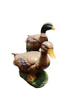 Mallard ducks hand for sale  Houston