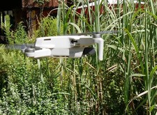 Dji mini drohne gebraucht kaufen  Schlierbach
