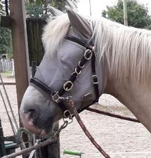 kieffer trense gebraucht kaufen  Grevenbroich