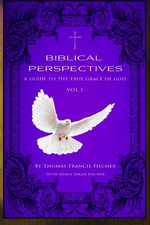 Biblical perspectives guide for sale  ROSSENDALE