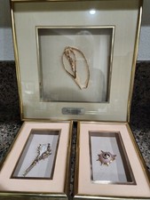 Seashell collage lot for sale  Menifee