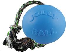 Jolly pets palla usato  Roma