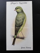 Green canary aviary for sale  UK